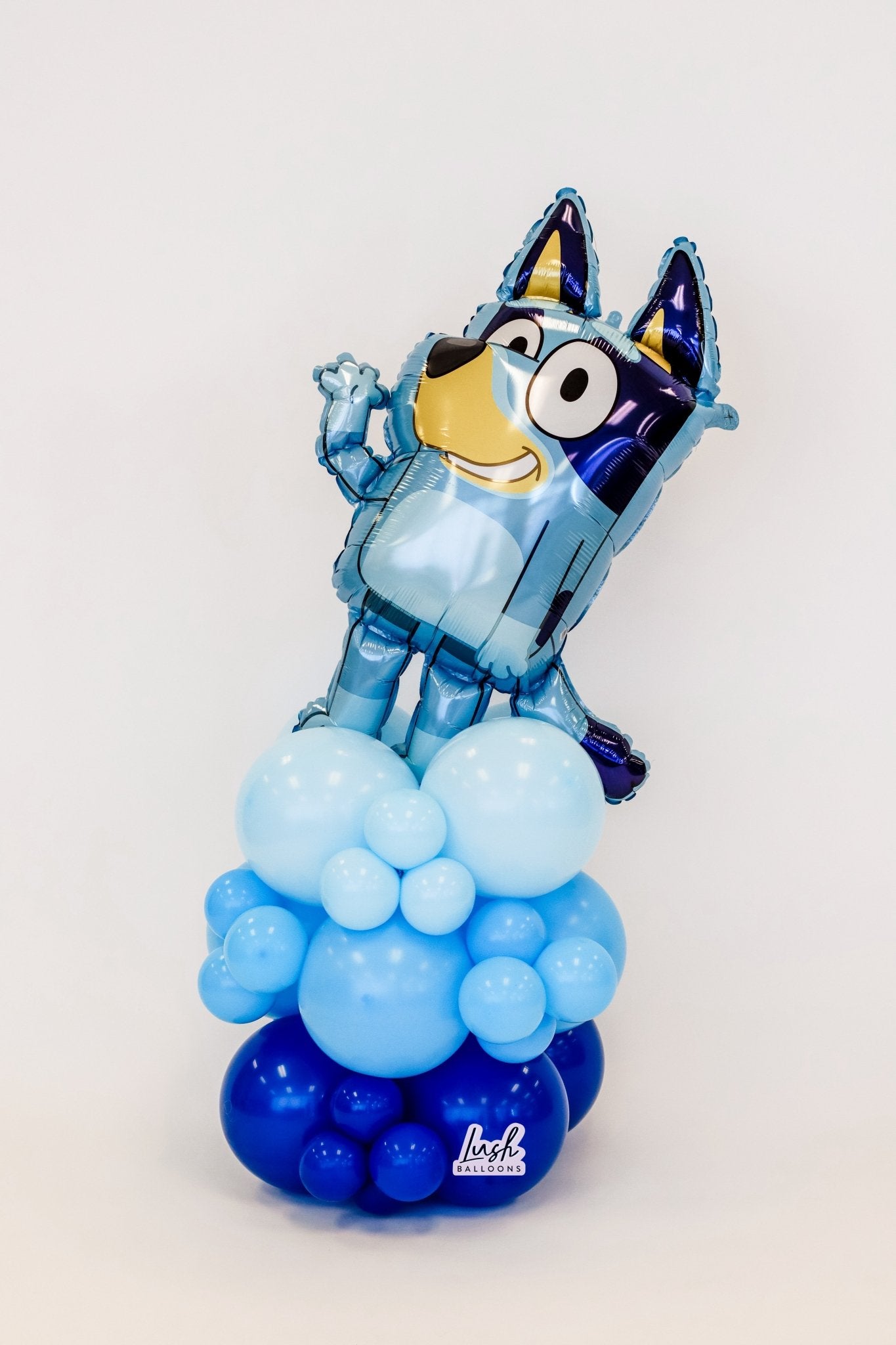 Bluey Bouquet – Lush Balloons