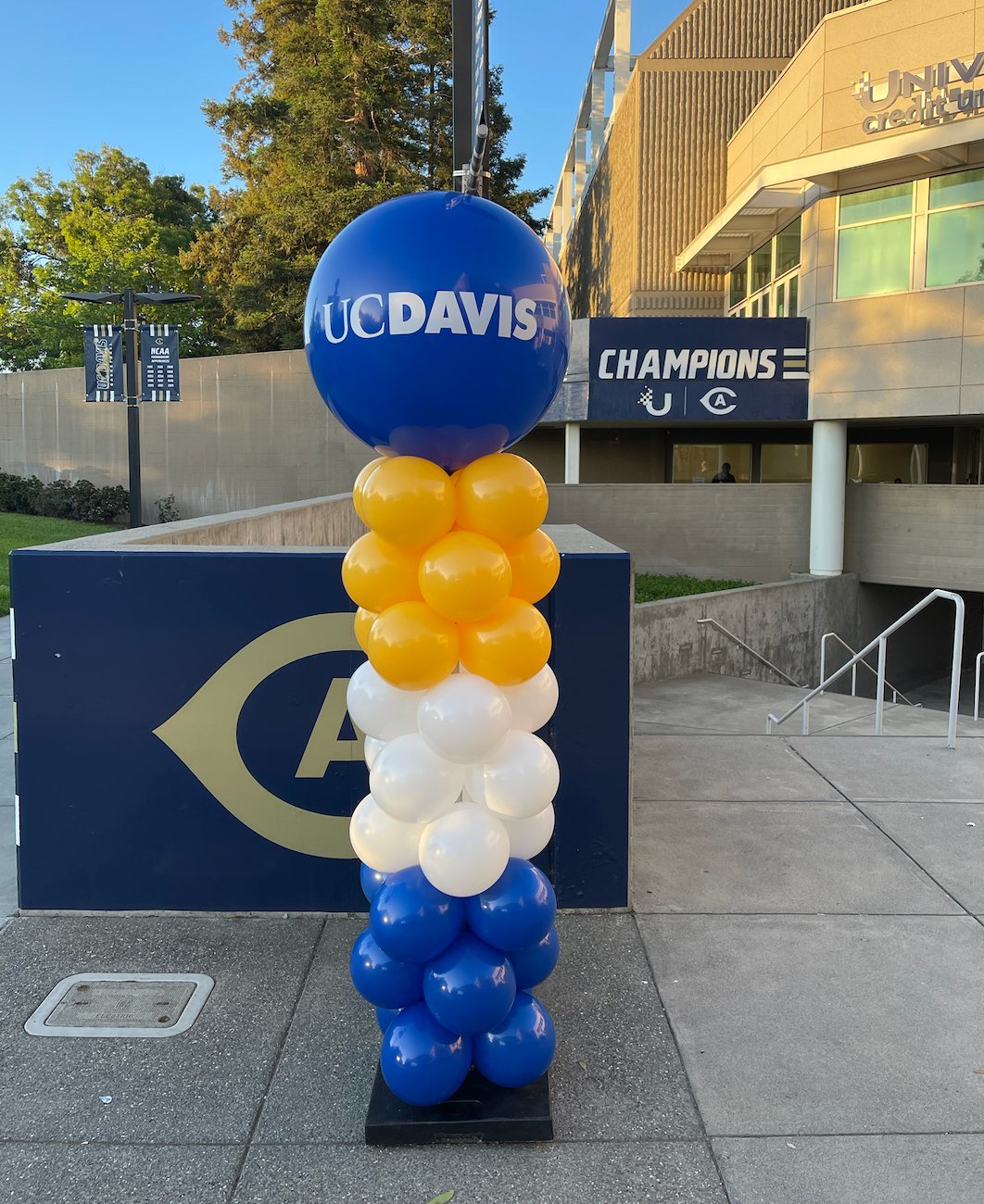 Classic Balloon Column - Lush Balloons