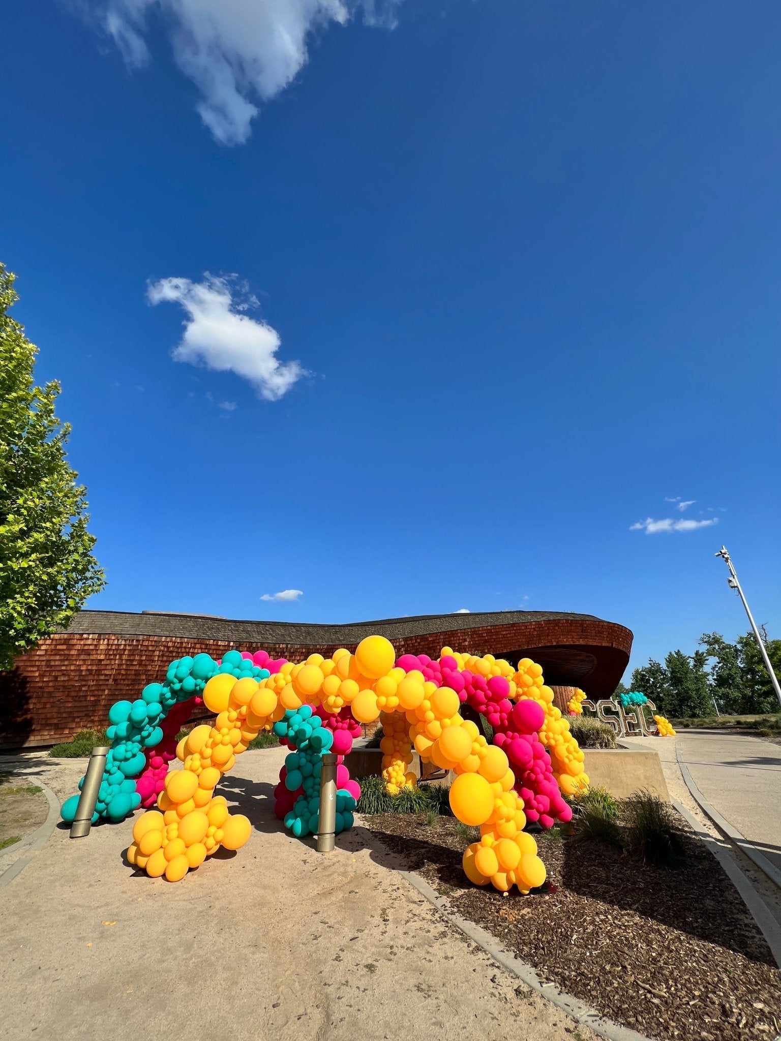 Extra Lush Organic Balloon Arch Rental - Lush Balloons