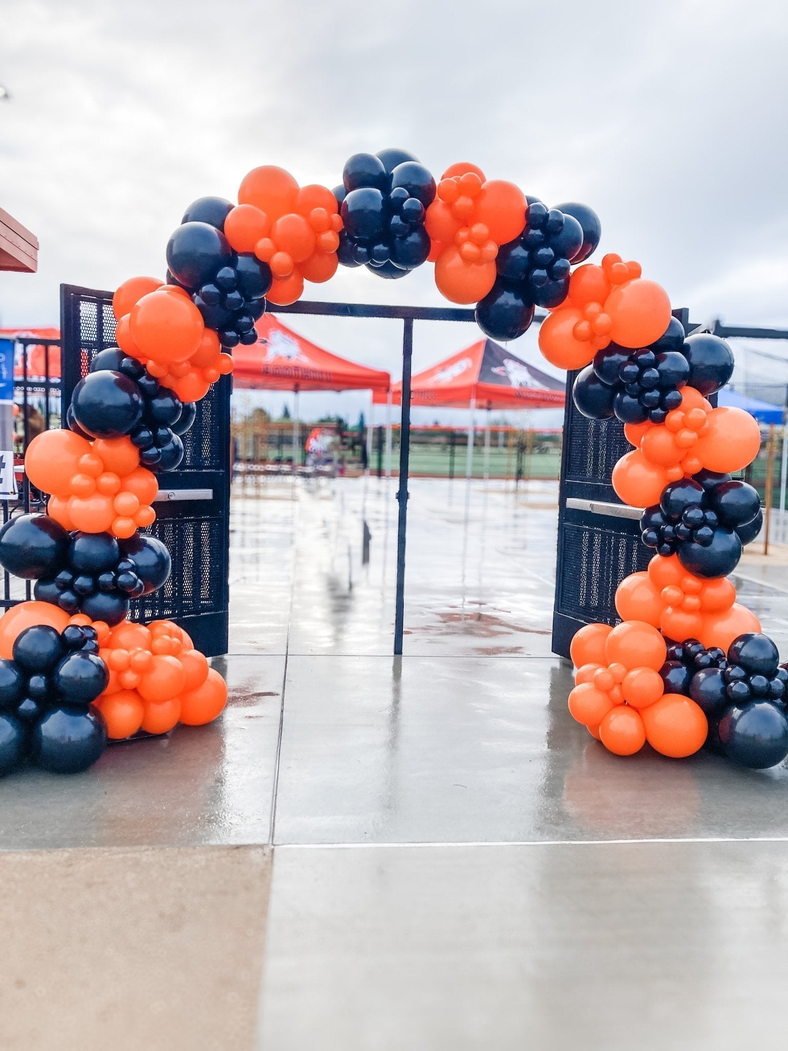 Organic Balloon Arch Rental - Lush Balloons